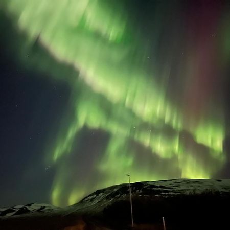 Stora-Asgeirsa Horse Farm Stay Vithigerthi Eksteriør bilde