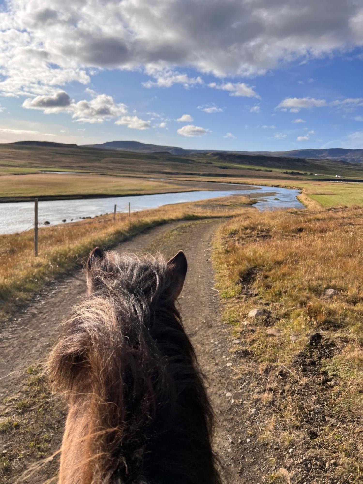 Stora-Asgeirsa Horse Farm Stay Vithigerthi Eksteriør bilde