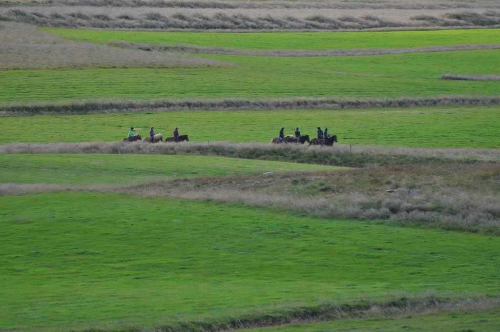 Stora-Asgeirsa Horse Farm Stay Vithigerthi Eksteriør bilde