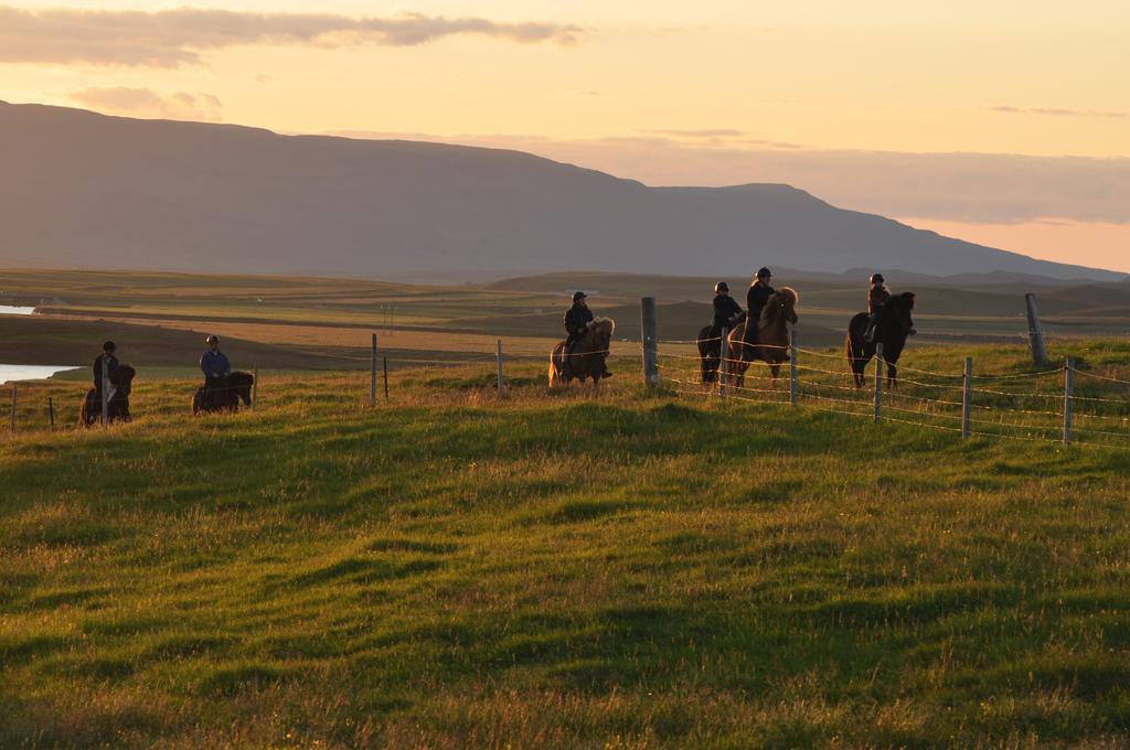 Stora-Asgeirsa Horse Farm Stay Vithigerthi Eksteriør bilde